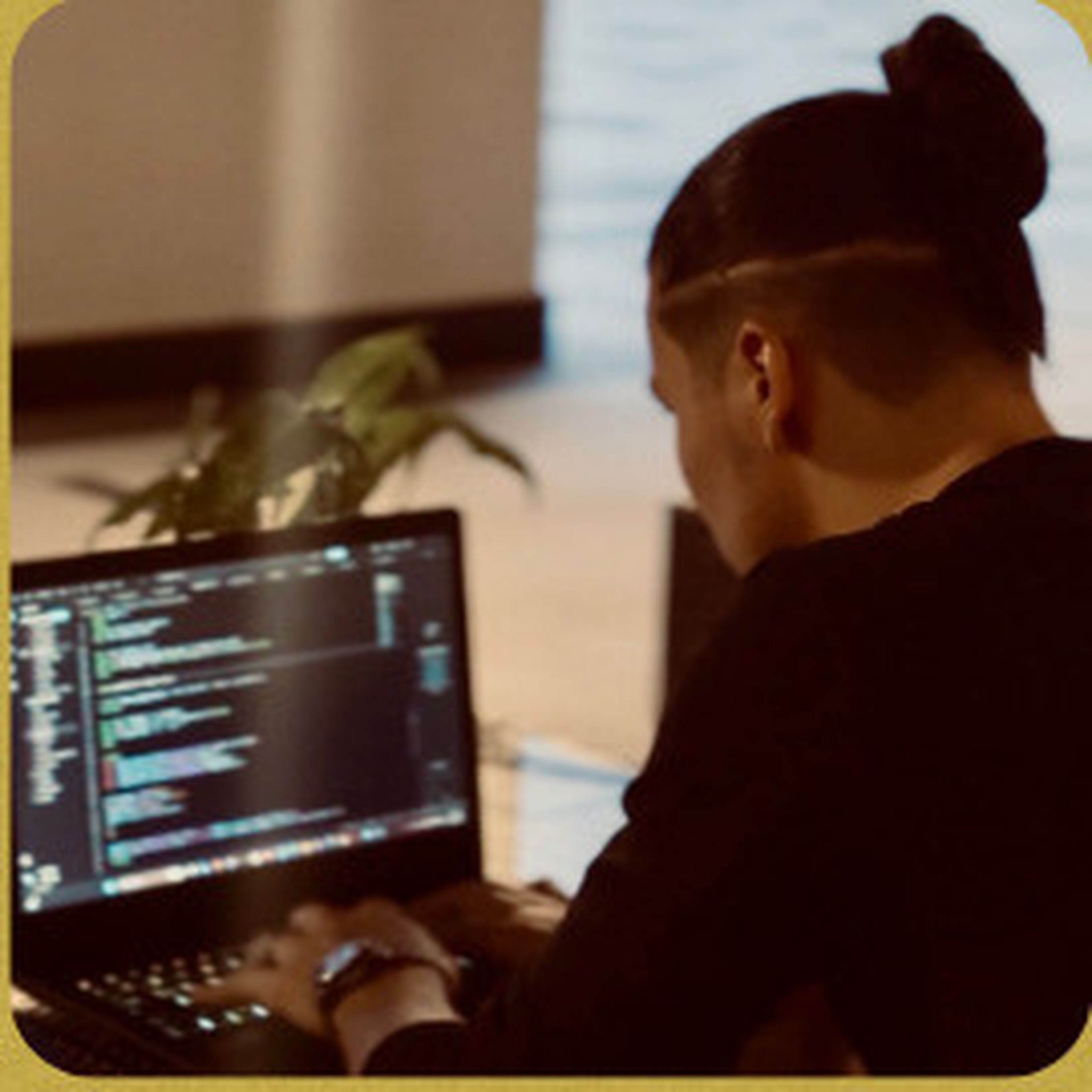 Web design par Djamel