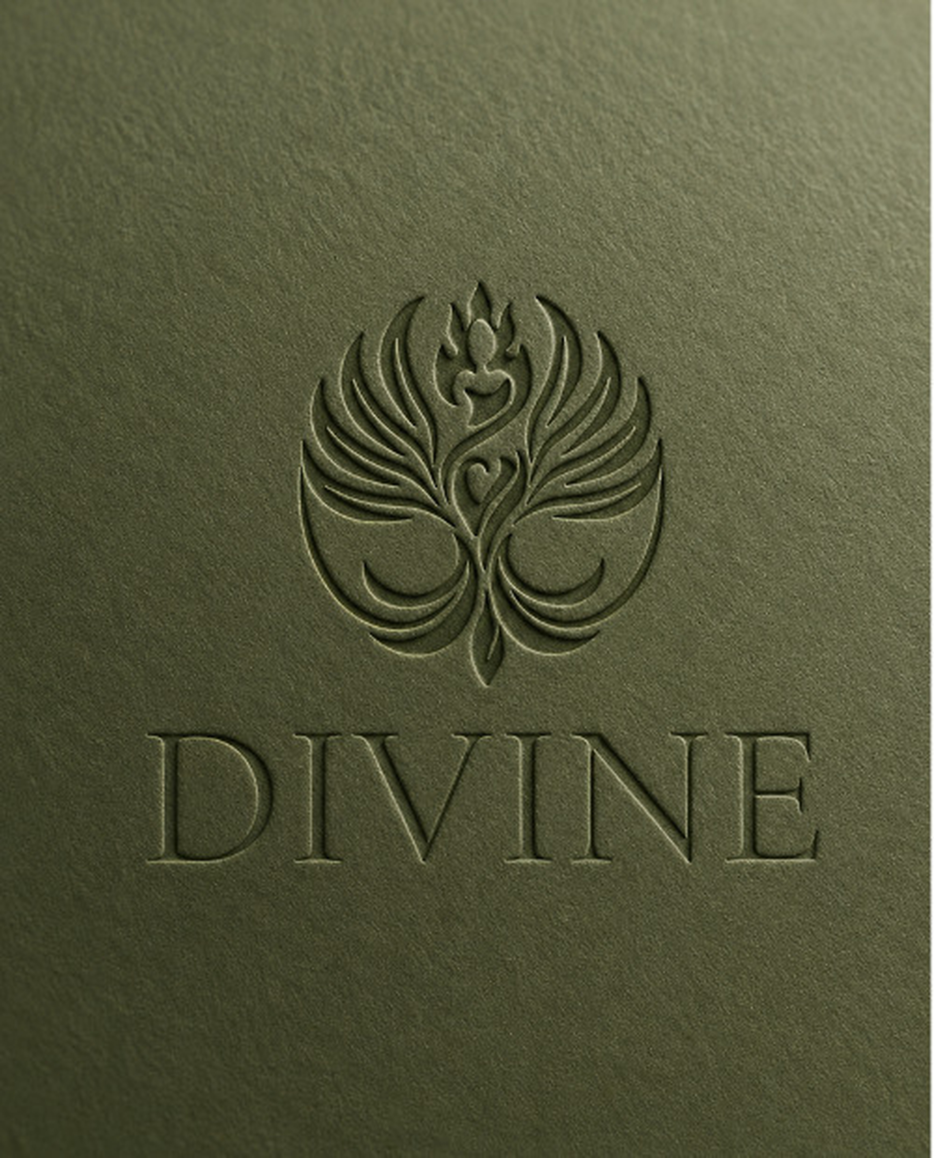 Projet DIVINE