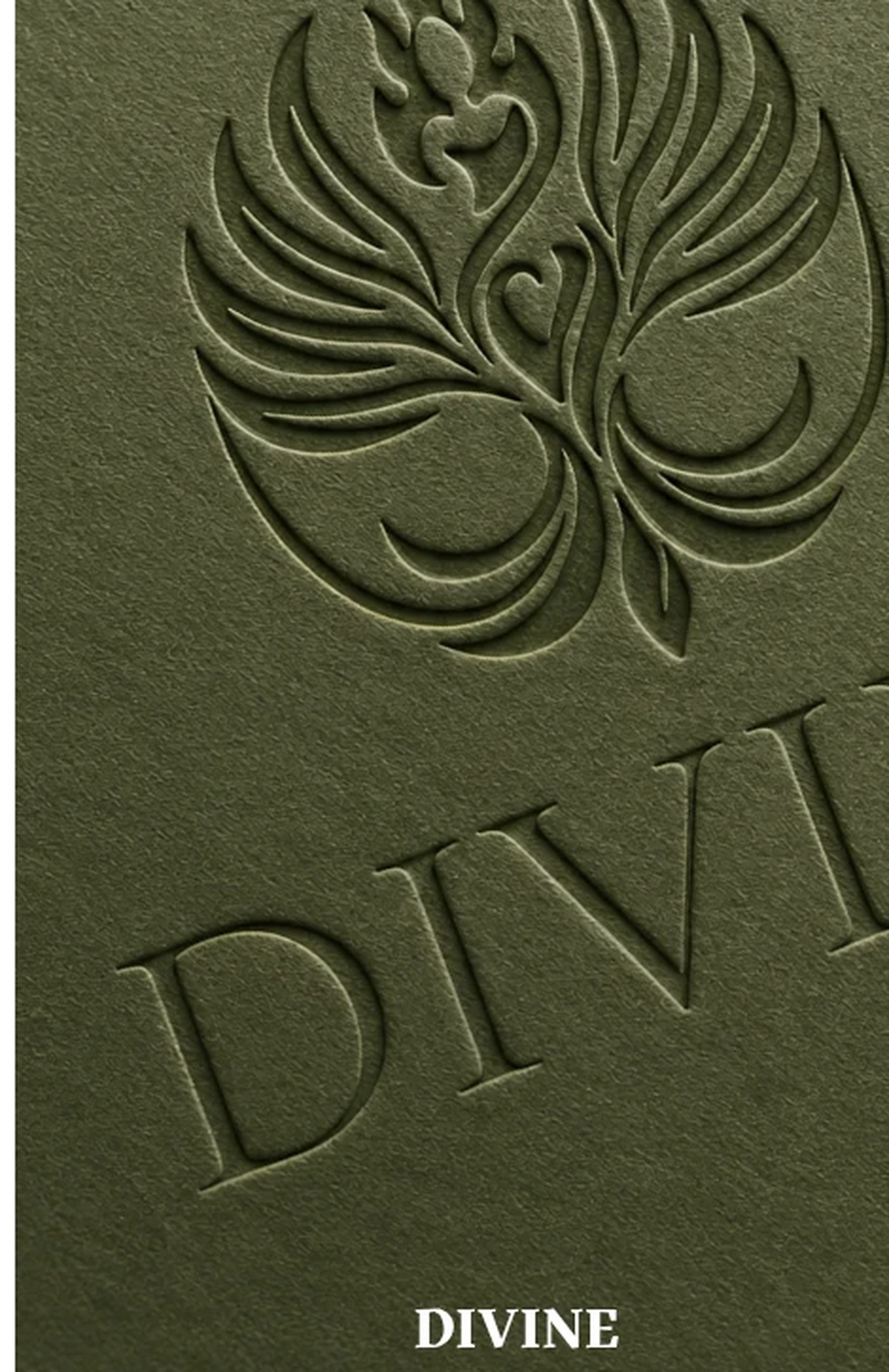 Projet Divine